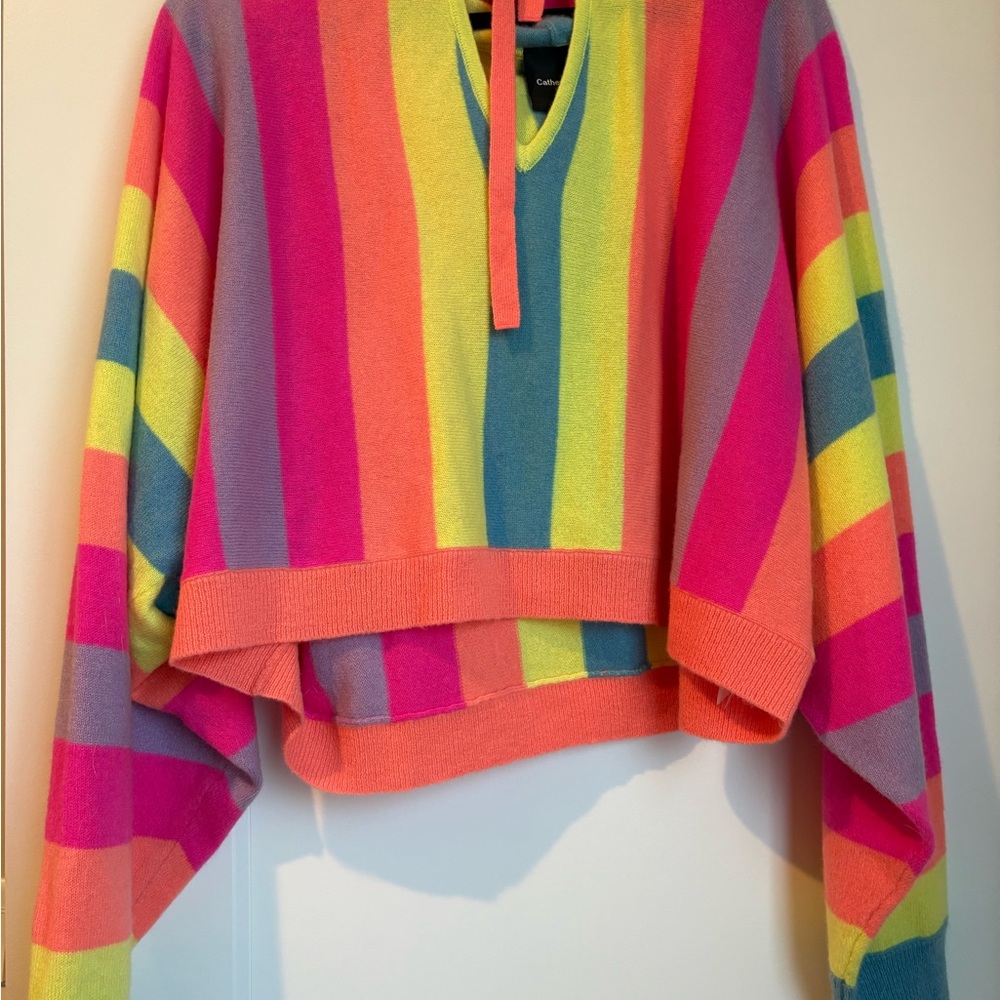 Catherines Vibrant Multicolor V-Neck Sweater